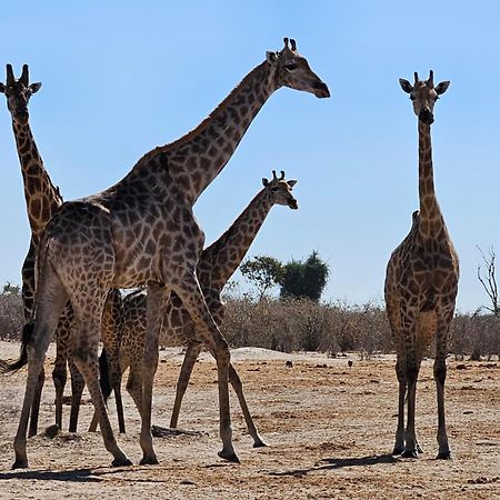 Xhabe Safari Lodge Chobe Muchenje Ngoại thất bức ảnh