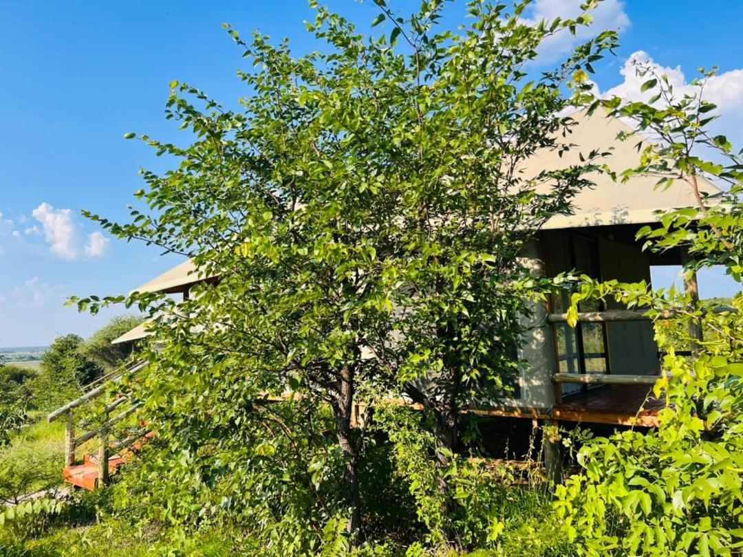 Xhabe Safari Lodge Chobe Muchenje Ngoại thất bức ảnh