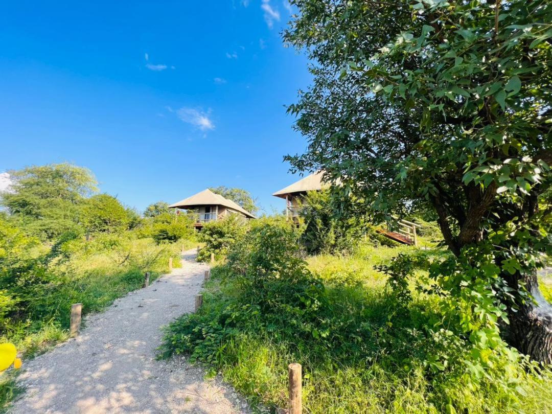 Xhabe Safari Lodge Chobe Muchenje Ngoại thất bức ảnh