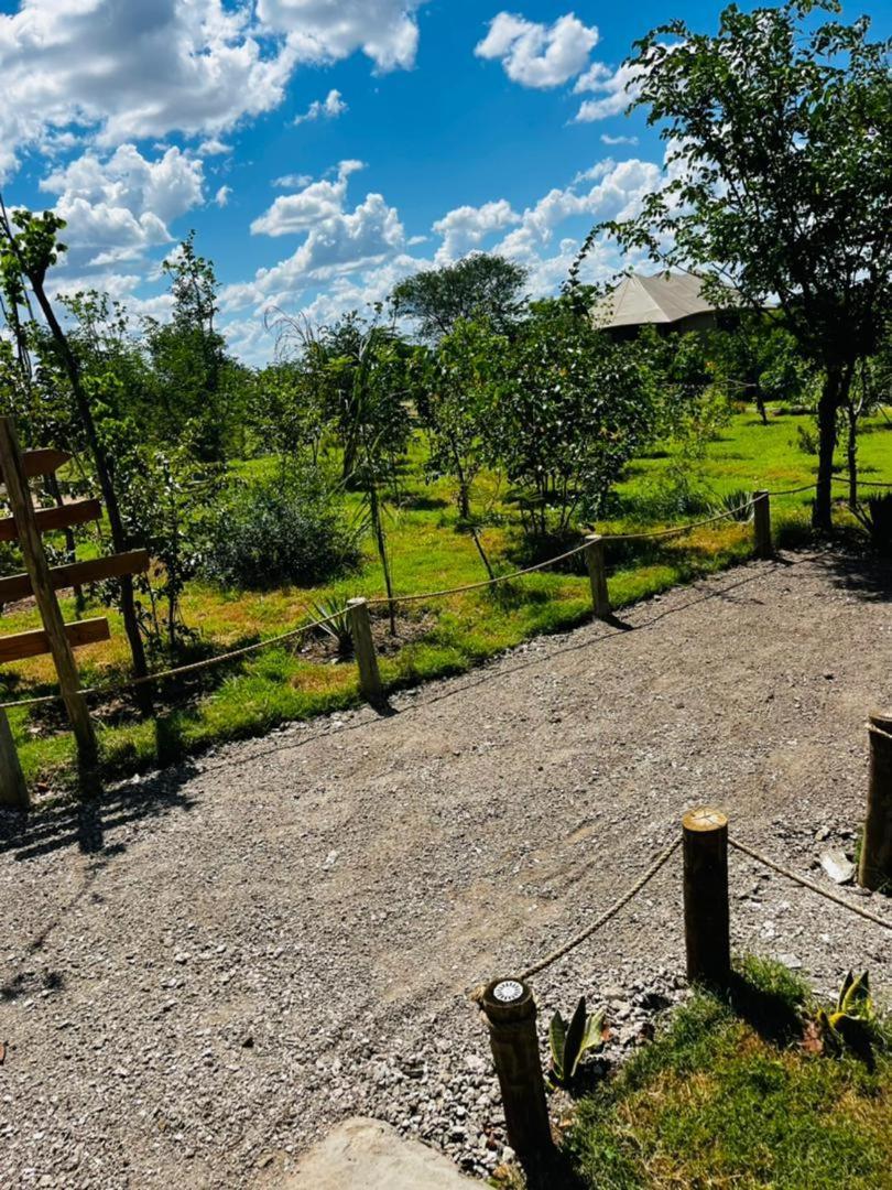 Xhabe Safari Lodge Chobe Muchenje Ngoại thất bức ảnh