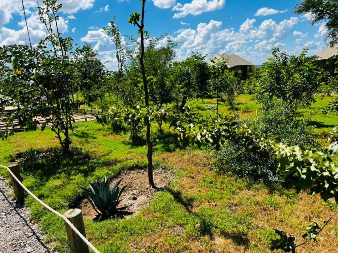 Xhabe Safari Lodge Chobe Muchenje Ngoại thất bức ảnh